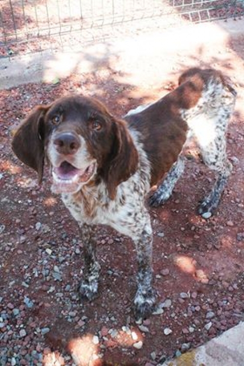 კურცხაარი უსახელო