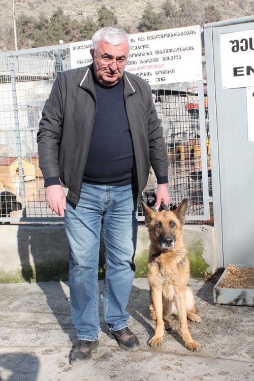 გერმანული ნაგაზი ჯესი