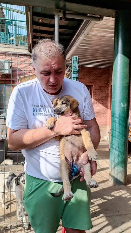 მეტისი იპოვა კახა ყურაშვილი