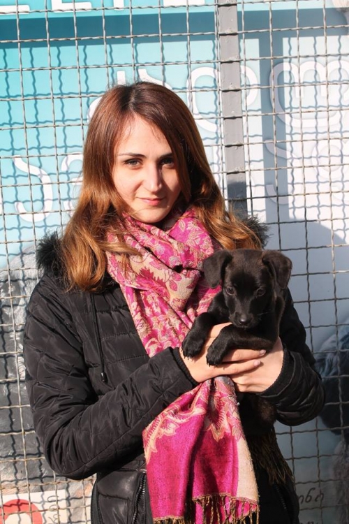 მეტისი უსახელო