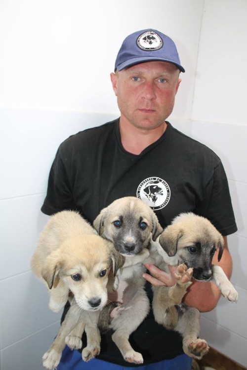 მეტისი უსახელო