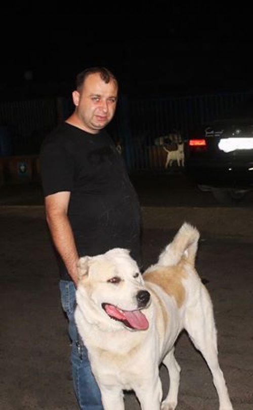 ქართული ნაგაზი ბათურა