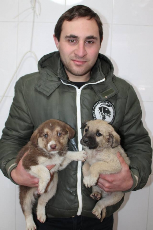 მეტისი უსახელო