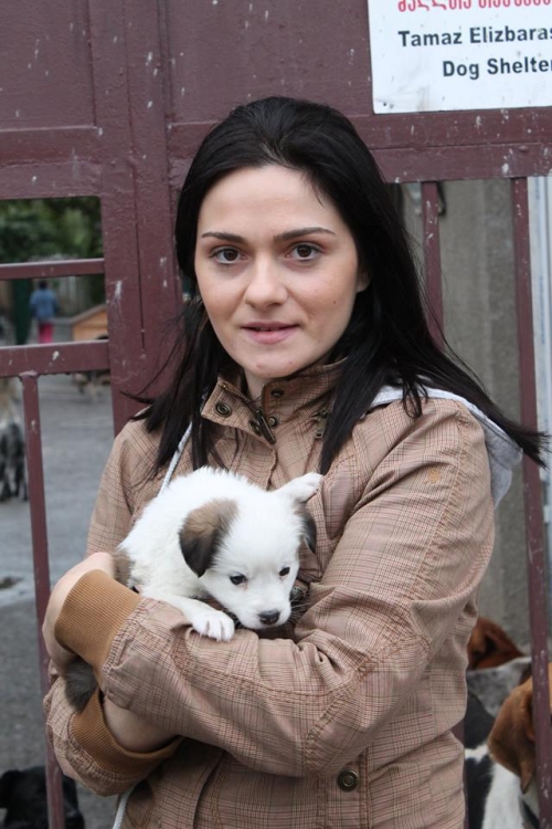 მეტისი უსახელო