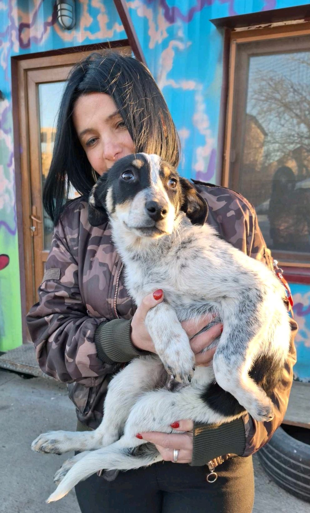 მეტისი. გლდანულა