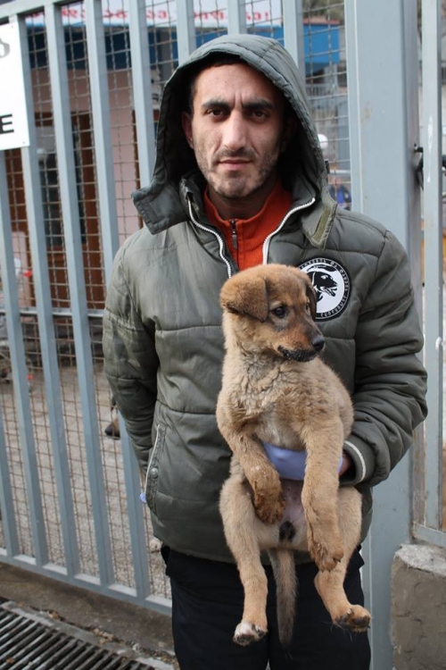 მეტისი უსახელო