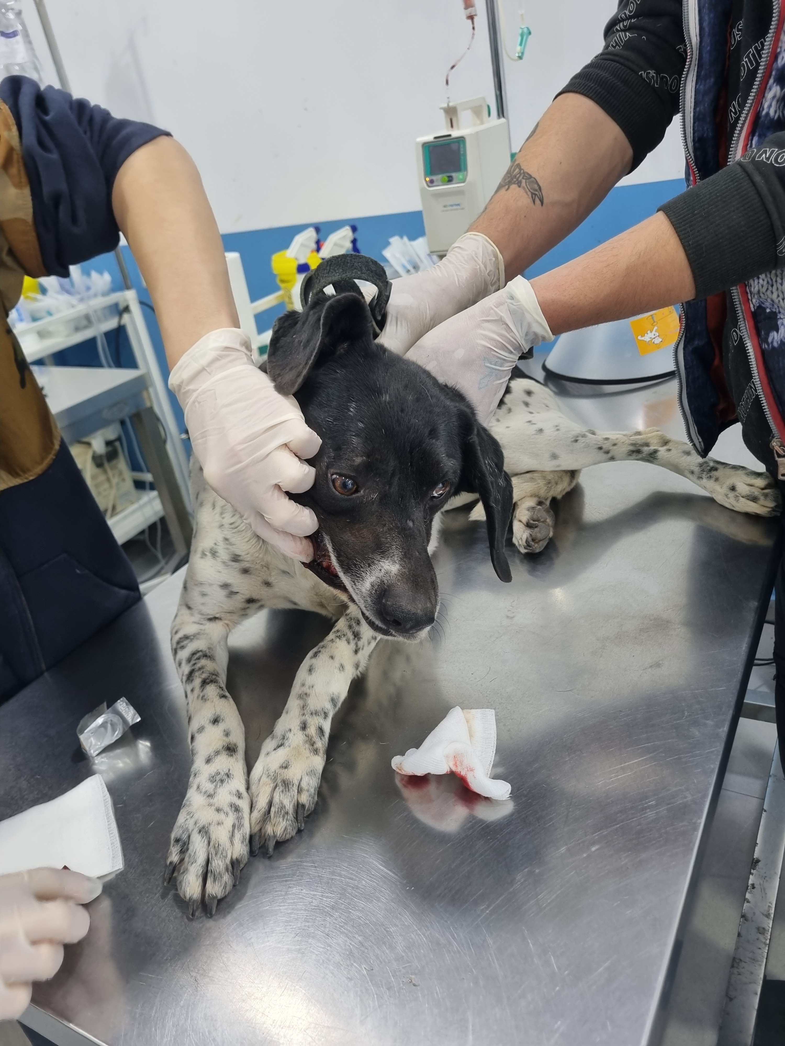 ხაშური. ლაქი