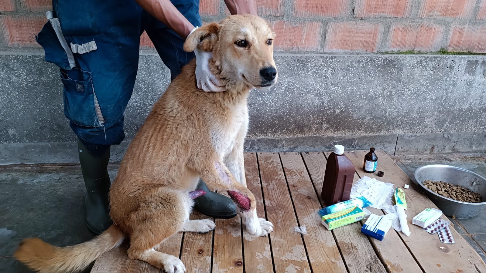 მეტისი. ჟინვალი