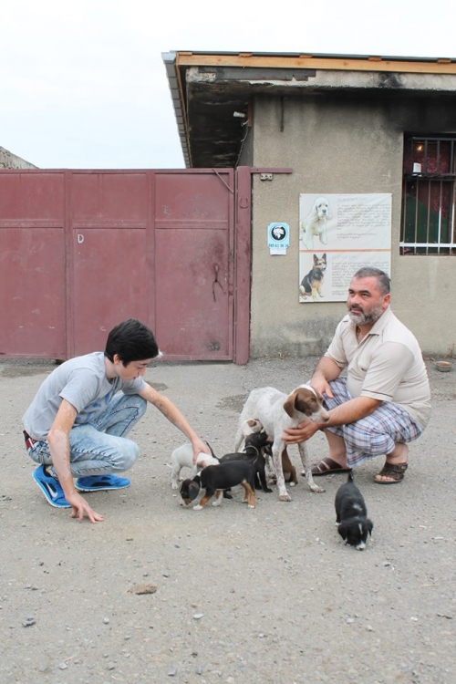 კურცხაარი ლაიმა