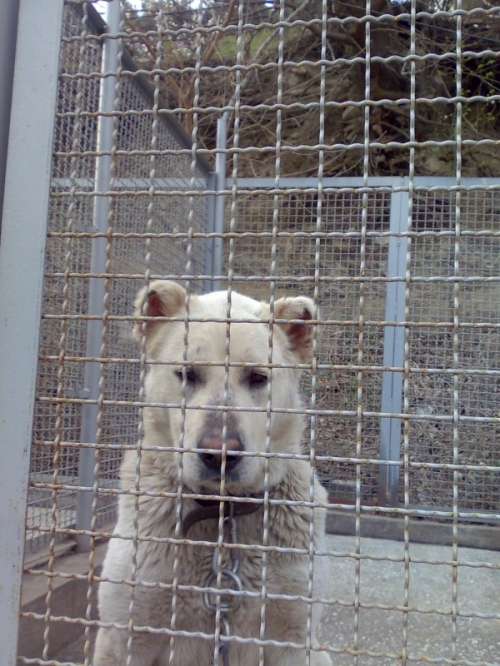 * გაჩუქებულები თათია