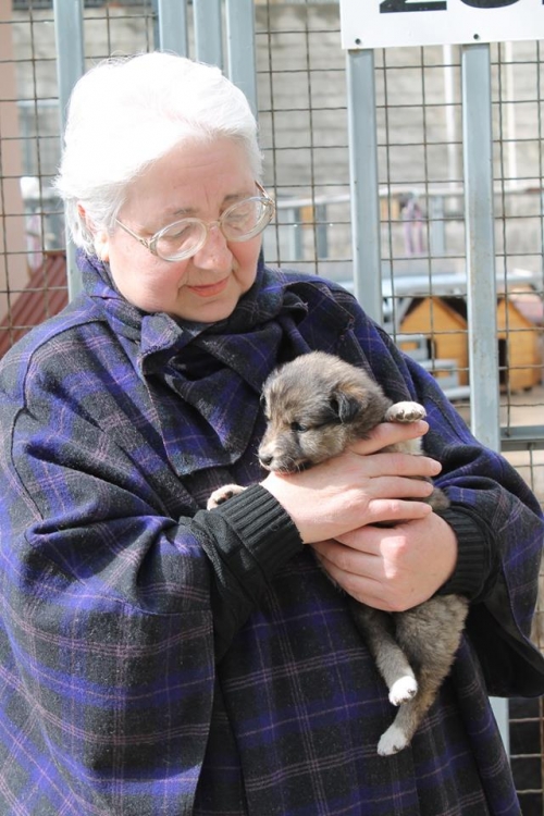 მეტისი უსახელო