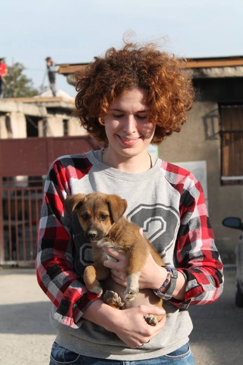 მეტისი უსახელო