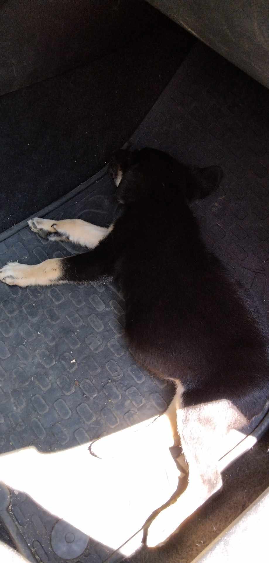 მეტისი. ქვემო ფონიჭალა