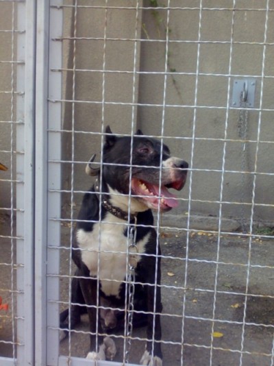 * გარდაცვლილები ბარონი