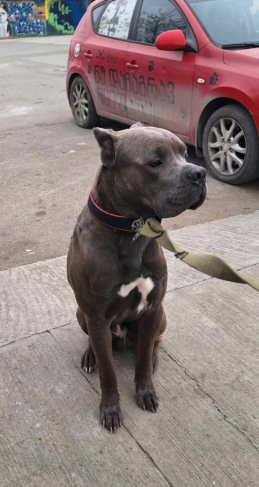 ნაპოვნია უნივერსიტეტის ქუჩაზე