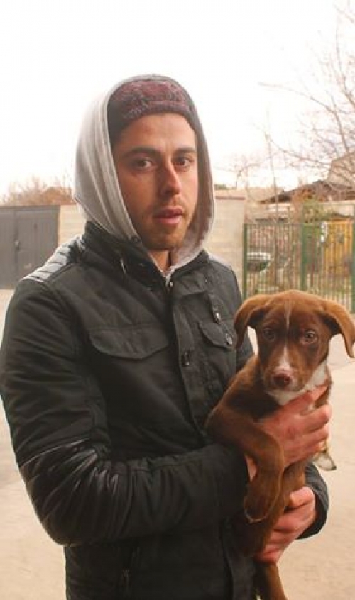 მეტისი ჯესი