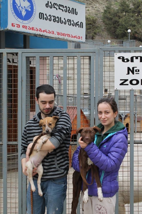 მეტისი უსახელო