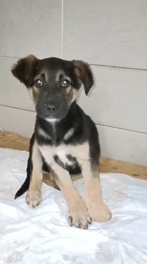 მეტისი. კახეთის გზატკეცილი