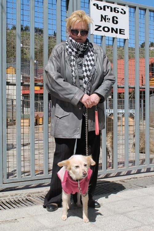 მეტისი ფუგა