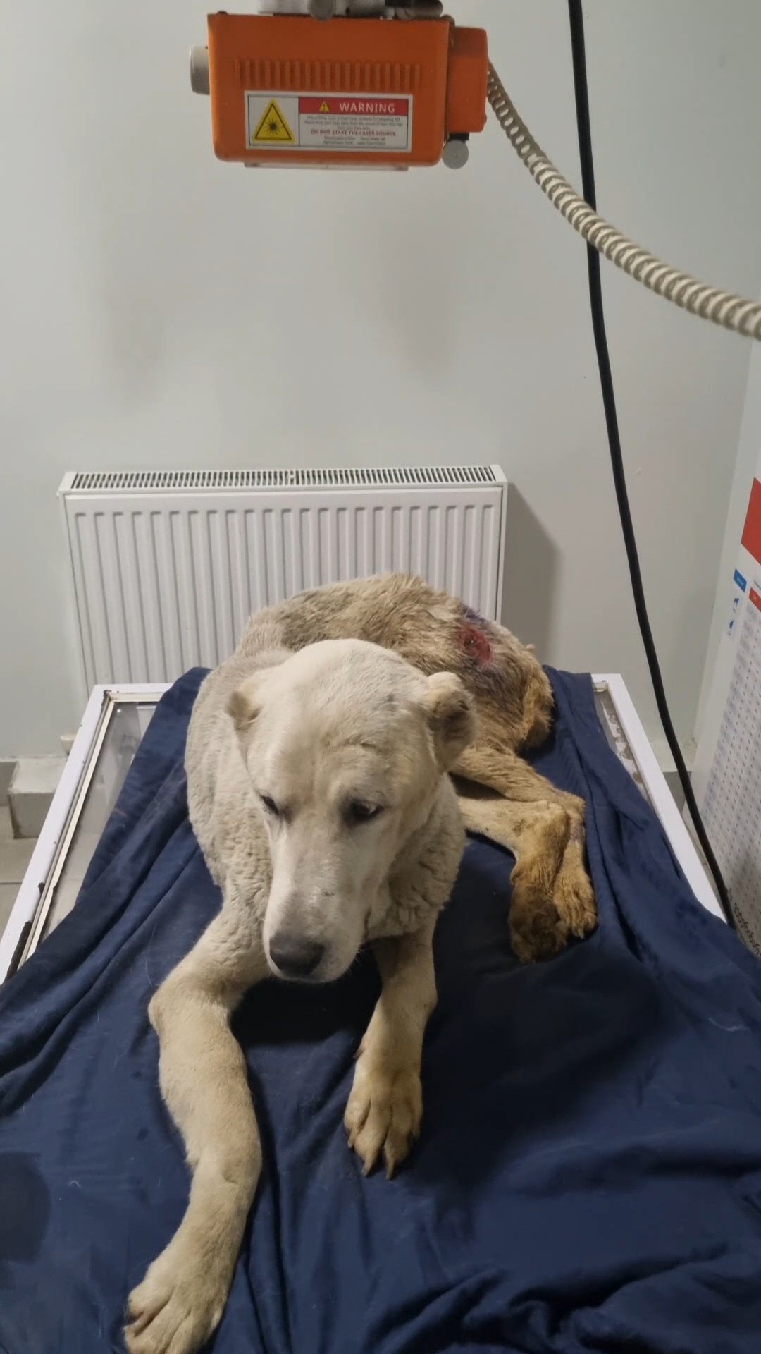 ალაბაი. გორი