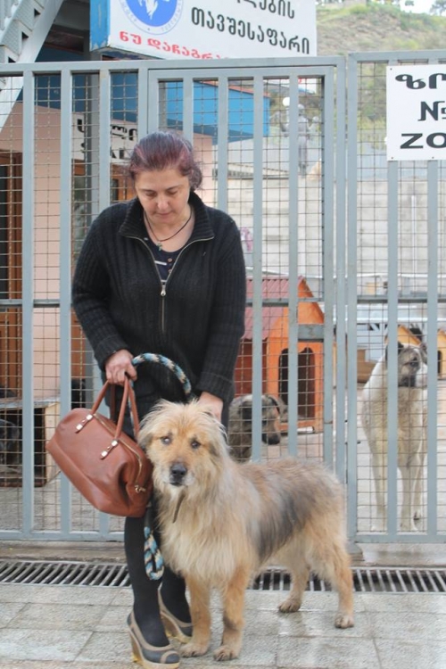 მეტისი სიმბა