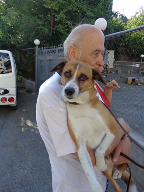 მეტისი კუსა