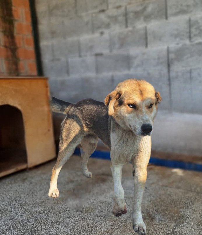 დიდუბე პლაზა