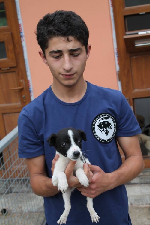 მეტისი უსახელო