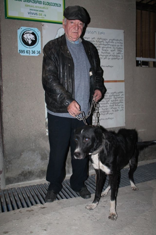 ქართული ქოფაკი ბუთა