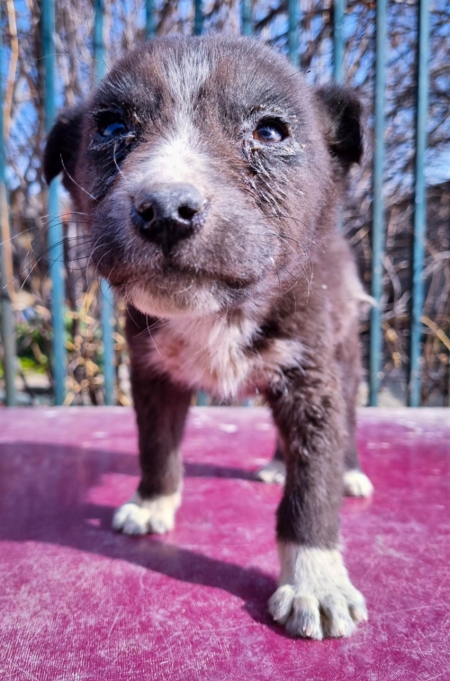 მეტისი ქიზიყის ქუჩა