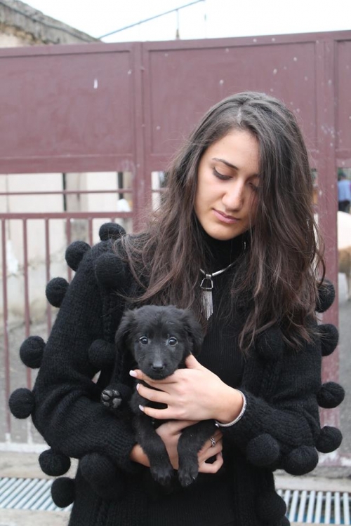 მეტისი უსახელო