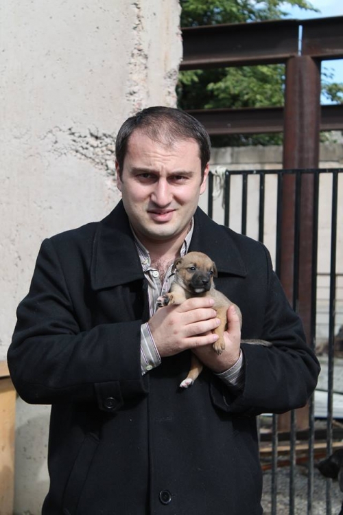 მეტისი უსახელო