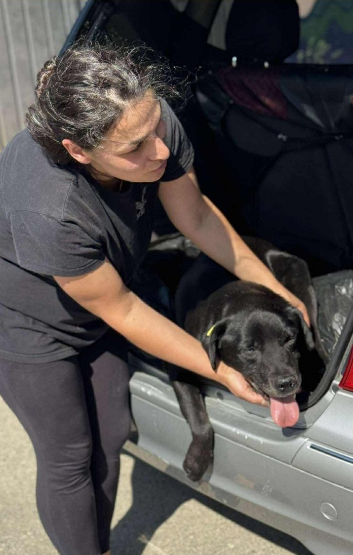 მეტისი. გუმათჰესის ქუჩა