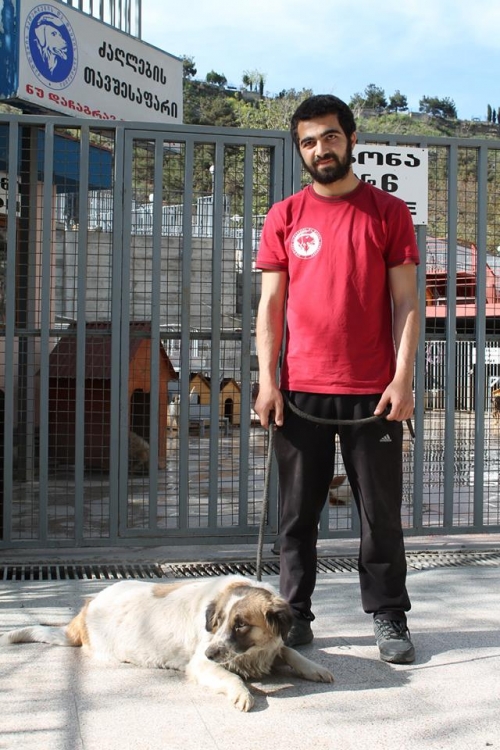 მეტისი უსახელო