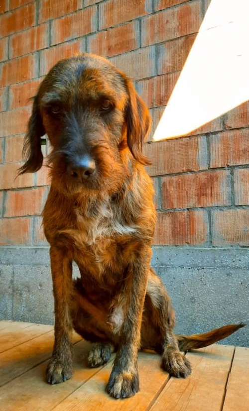 მეტისი ავჭალა ლიბანის ქუჩა