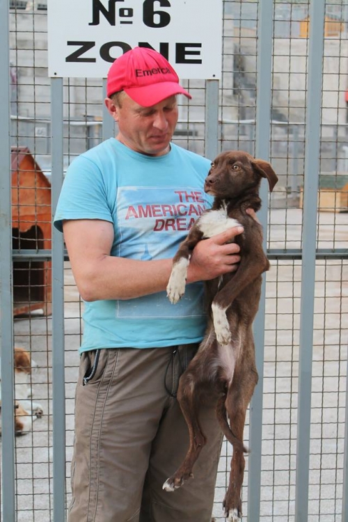 მეტისი უსახელო