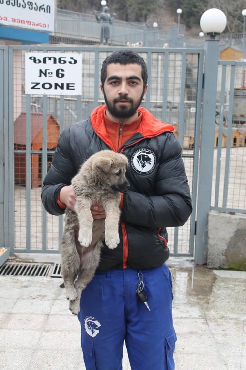 მეტისი უსახელო