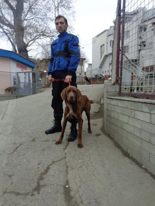 მეტისი უსახელო