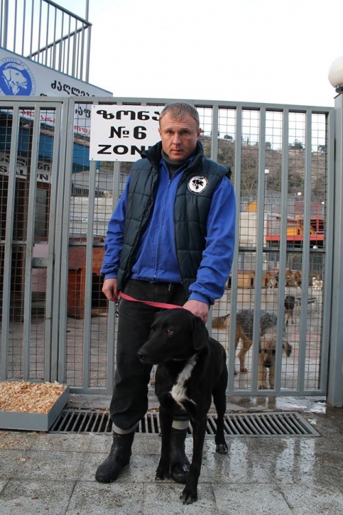 მეტისი როკი