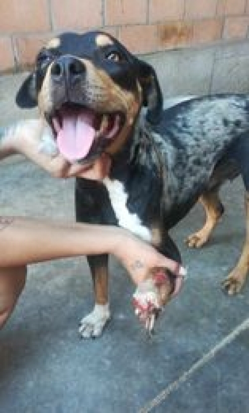 მეტისი ვარკეთილის მეტრო