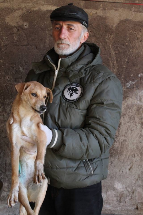 მეტისი დესი