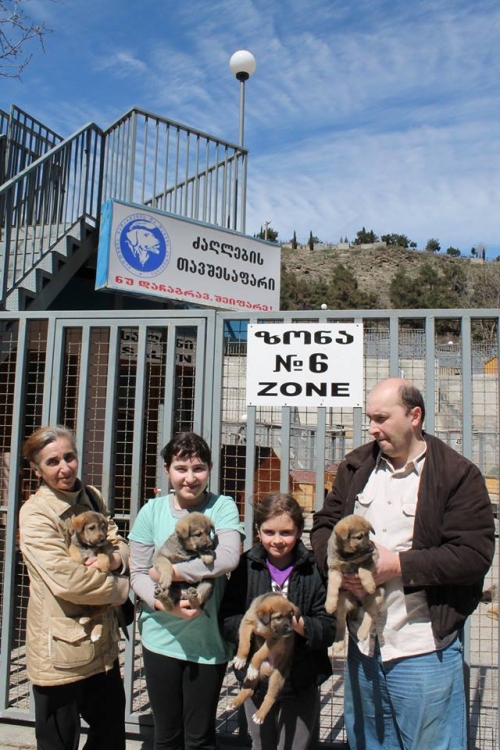 მეტისის ლეკვები უსახელო