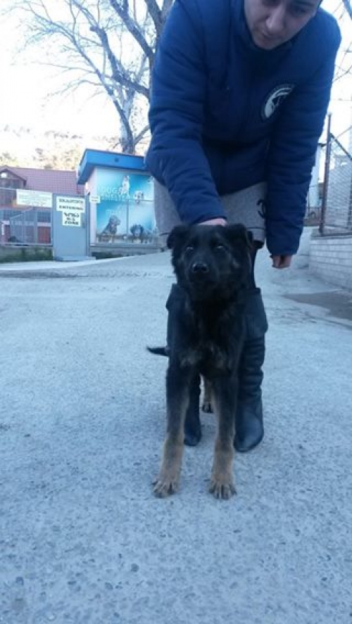 მეტისი უსახელო