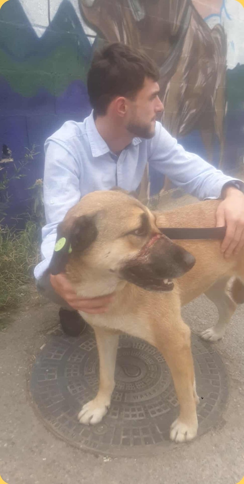 მეტისი. დიდი დიღომი