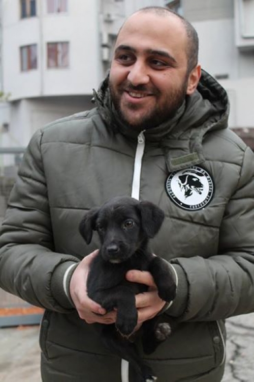 მეტისი უსახელო