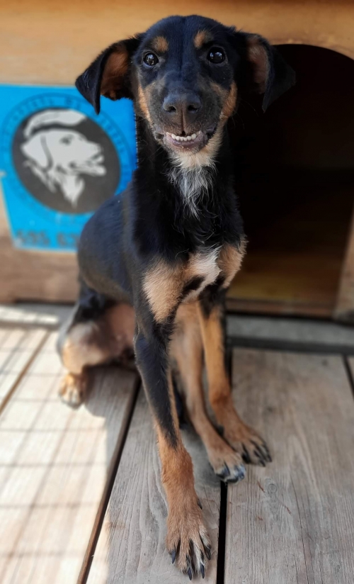 მეტისი ვაზიაუბანი 1კვარტალი