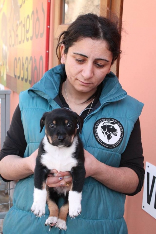 მეტისი უსახელო