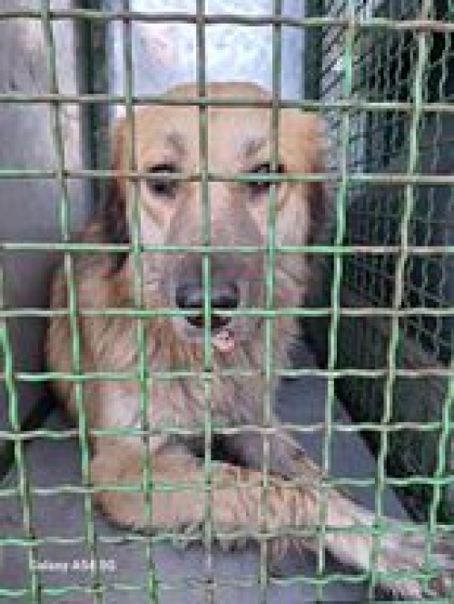 მეტისი დიდუბე მეტრო