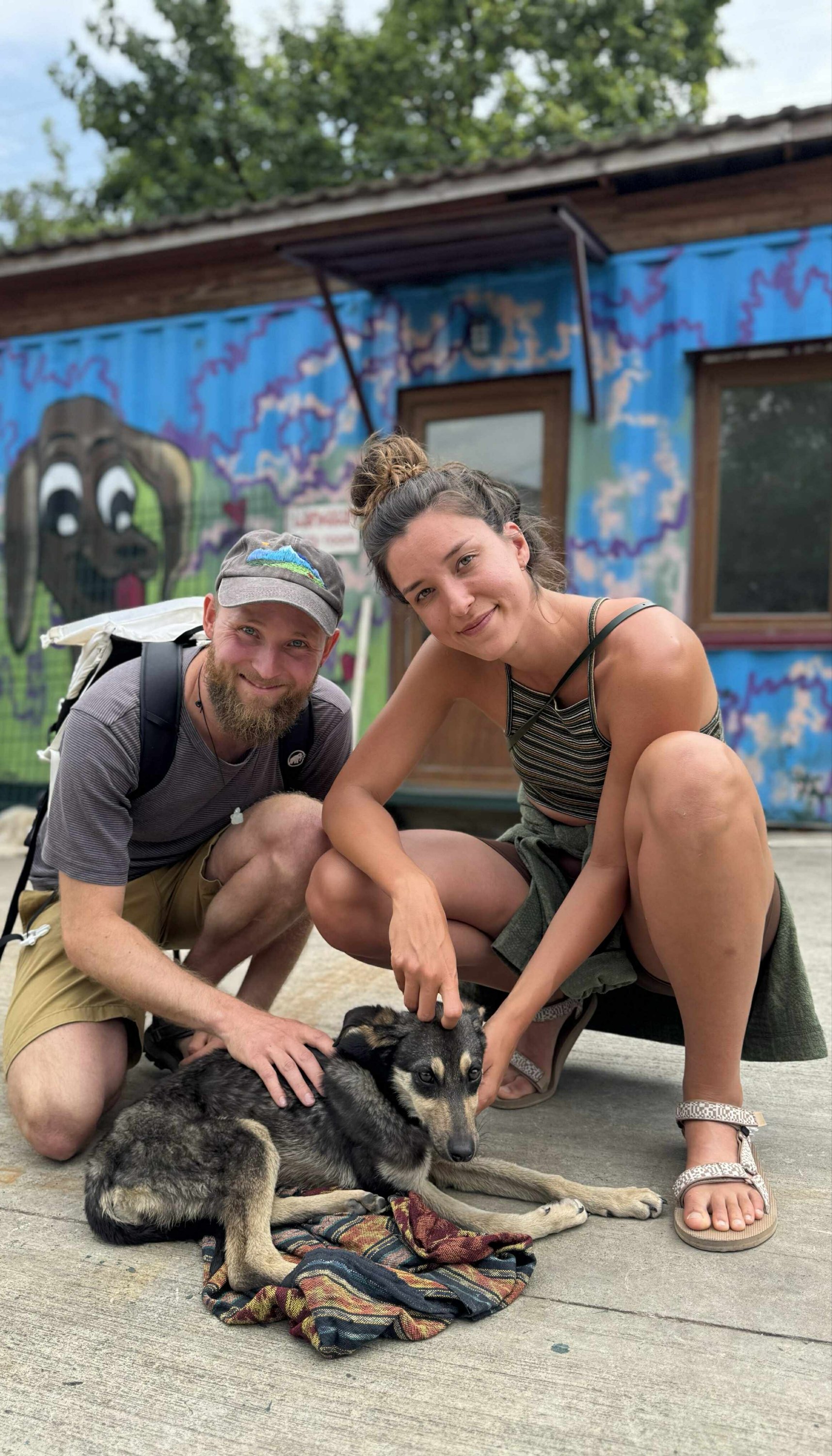 მეტისი. ბორჯომი