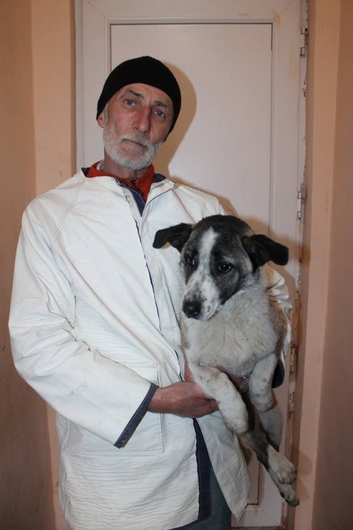 მეტისი უსახელო